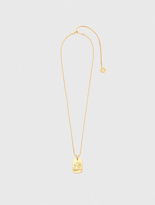 Capricorn Zodiac sign plaque necklace