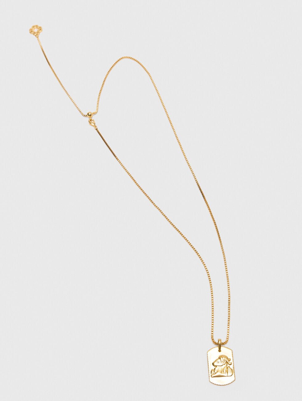 Capricorn Zodiac sign plaque necklace