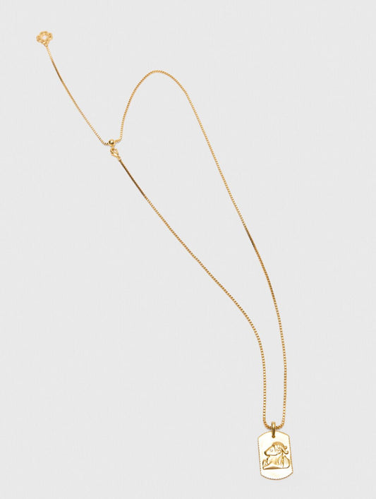 Capricorn Zodiac sign plaque necklace
