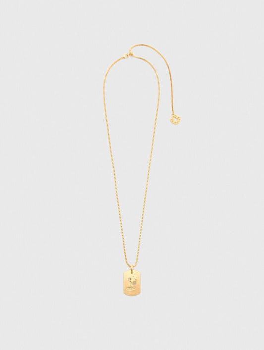 Aquarius Zodiac sign plaque necklace