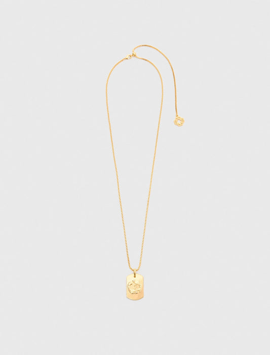 Pisces Zodiac sign plaque necklace