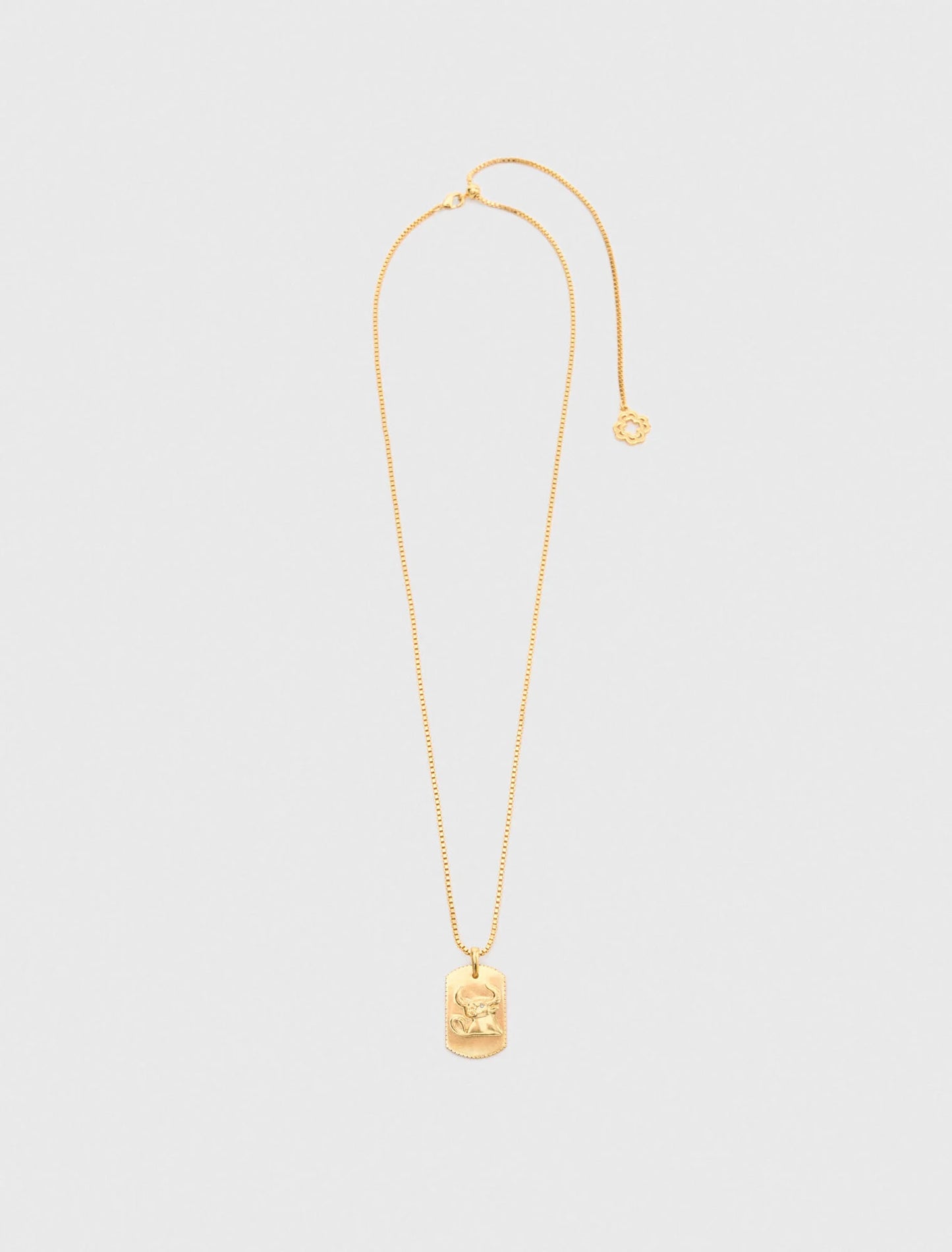 Taurus Zodiac sign plaque necklace