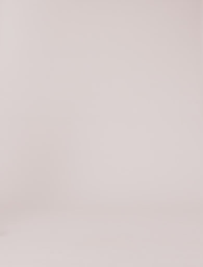 Celine Dion sweatshirt